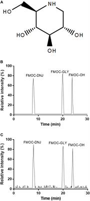 1-Deoxynojirimycin in Mulberry (Morus indica L.) Leaves Ameliorates Stable Angina Pectoris in Patients With Coronary Heart Disease by Improving Antioxidant and Anti-inflammatory Capacities